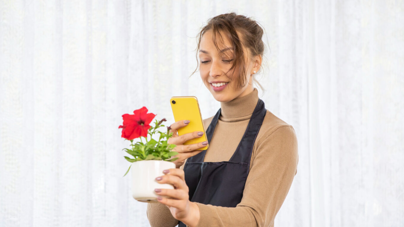 Utilizando Marketing de Influência para Promover Sua Floricultura nas Redes Sociais